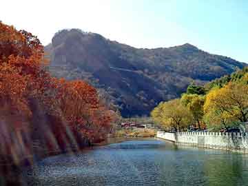 澳门二四六天天彩图库，欧泉琳美白祛斑系列